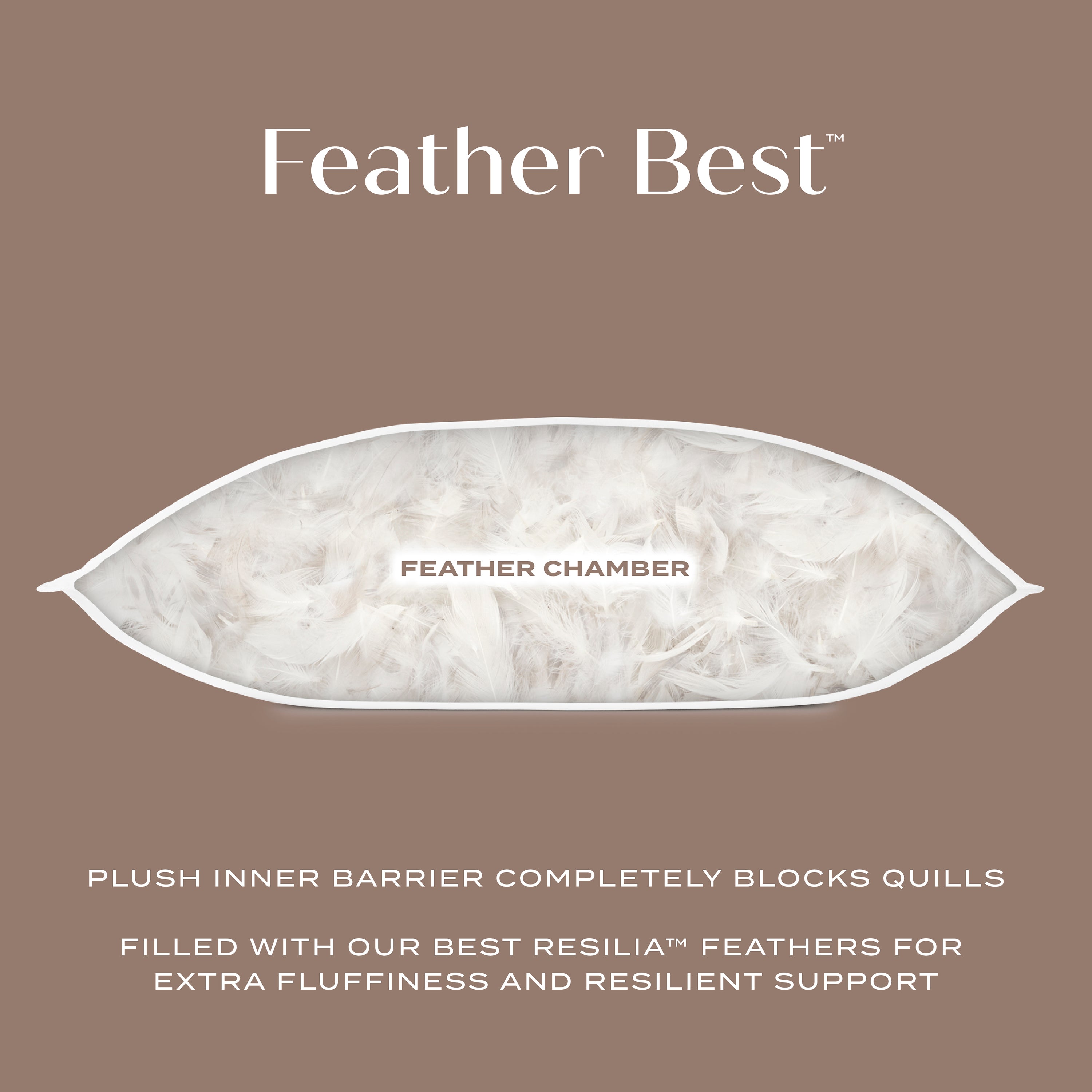 FeatherBest® Pillow