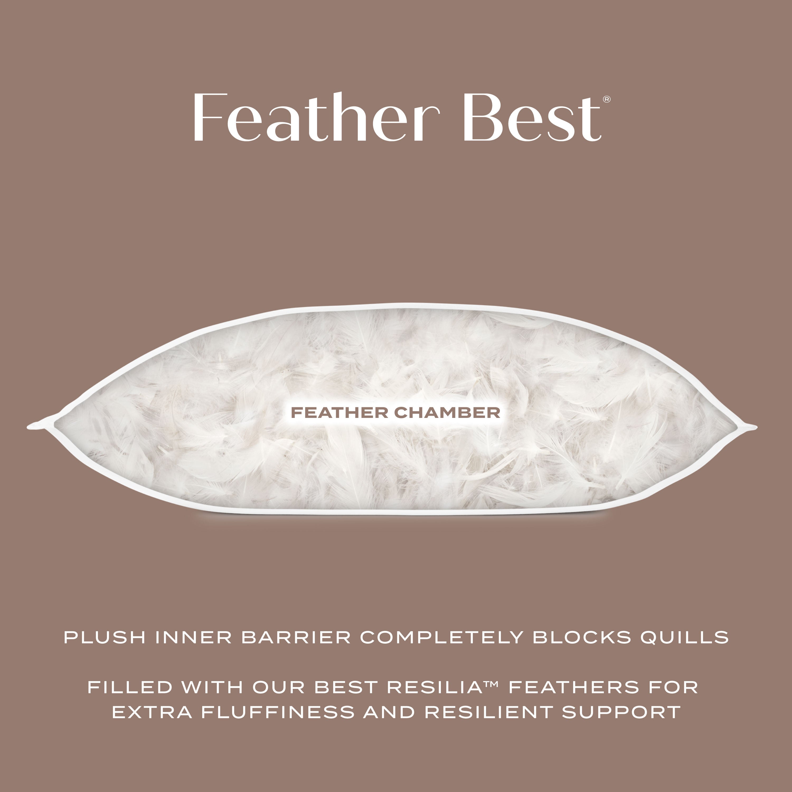 Feather Best pillow with feather chamber illustration on a brown background