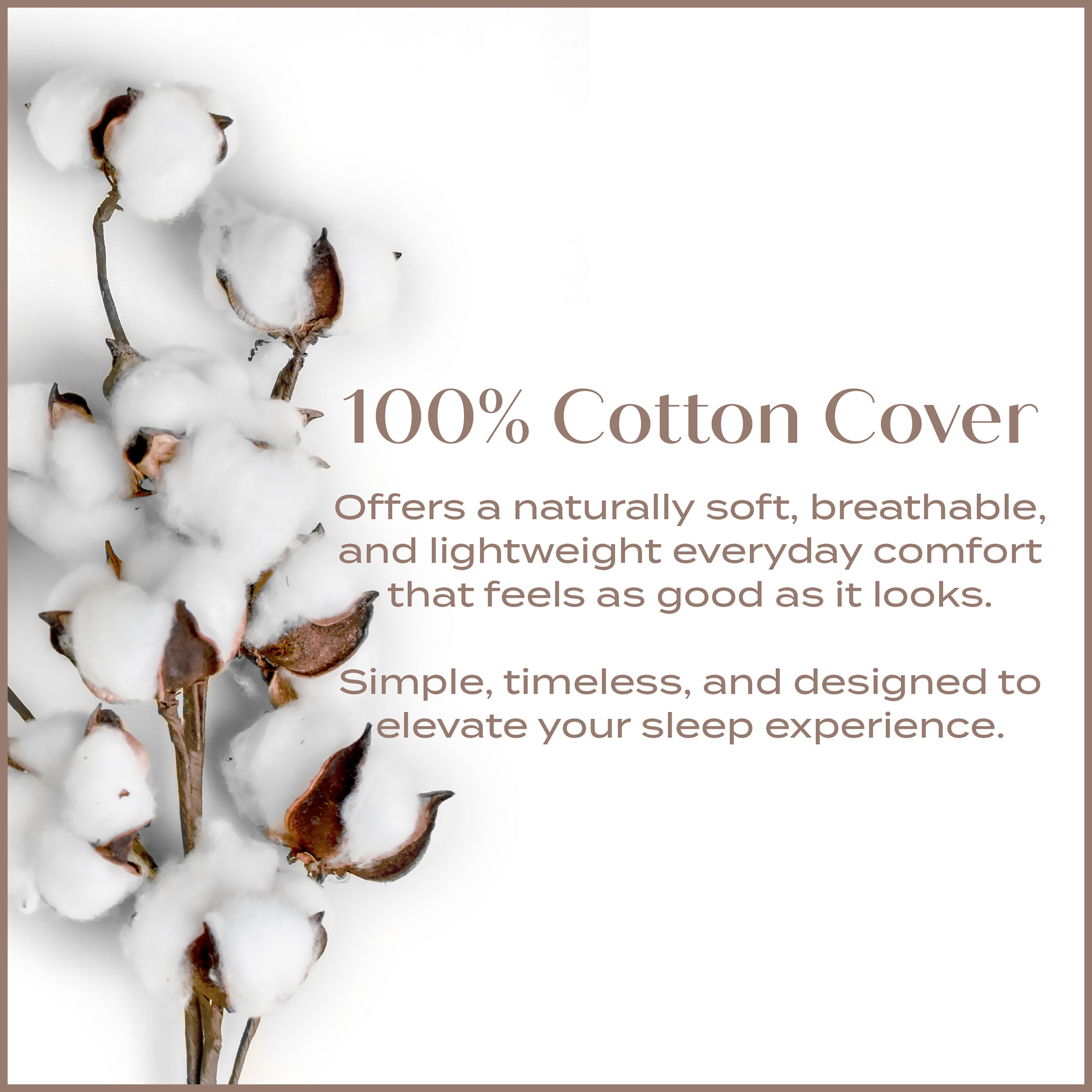 Down Filled Cotton Blanket