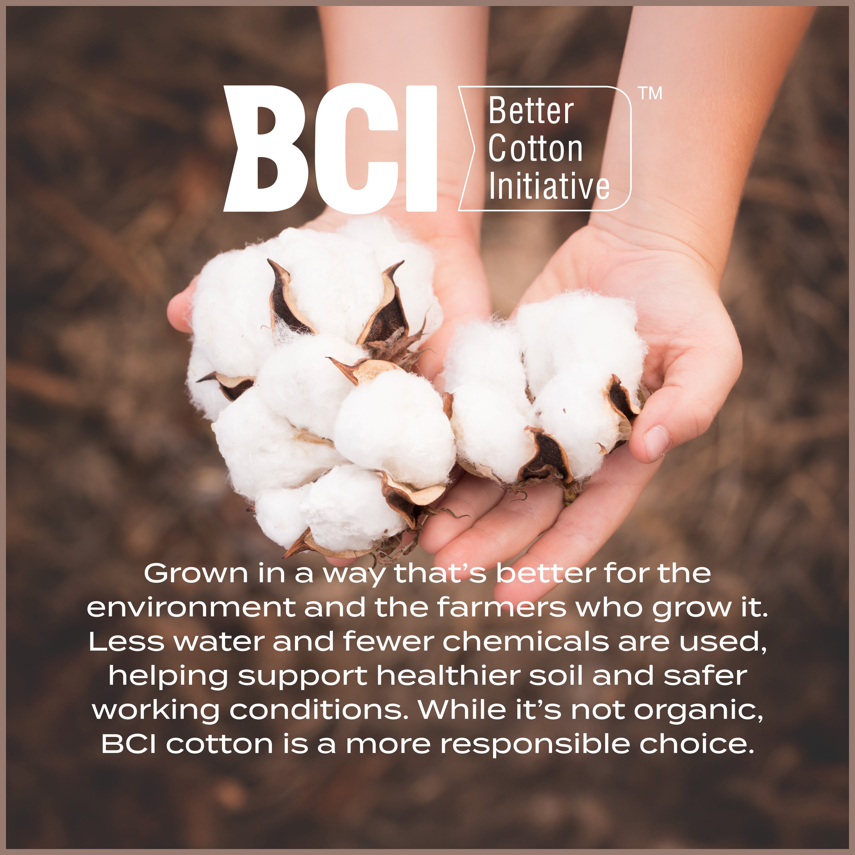 Hands holding cotton bolls with 'BCI Better Cotton Initiative' text overlay.