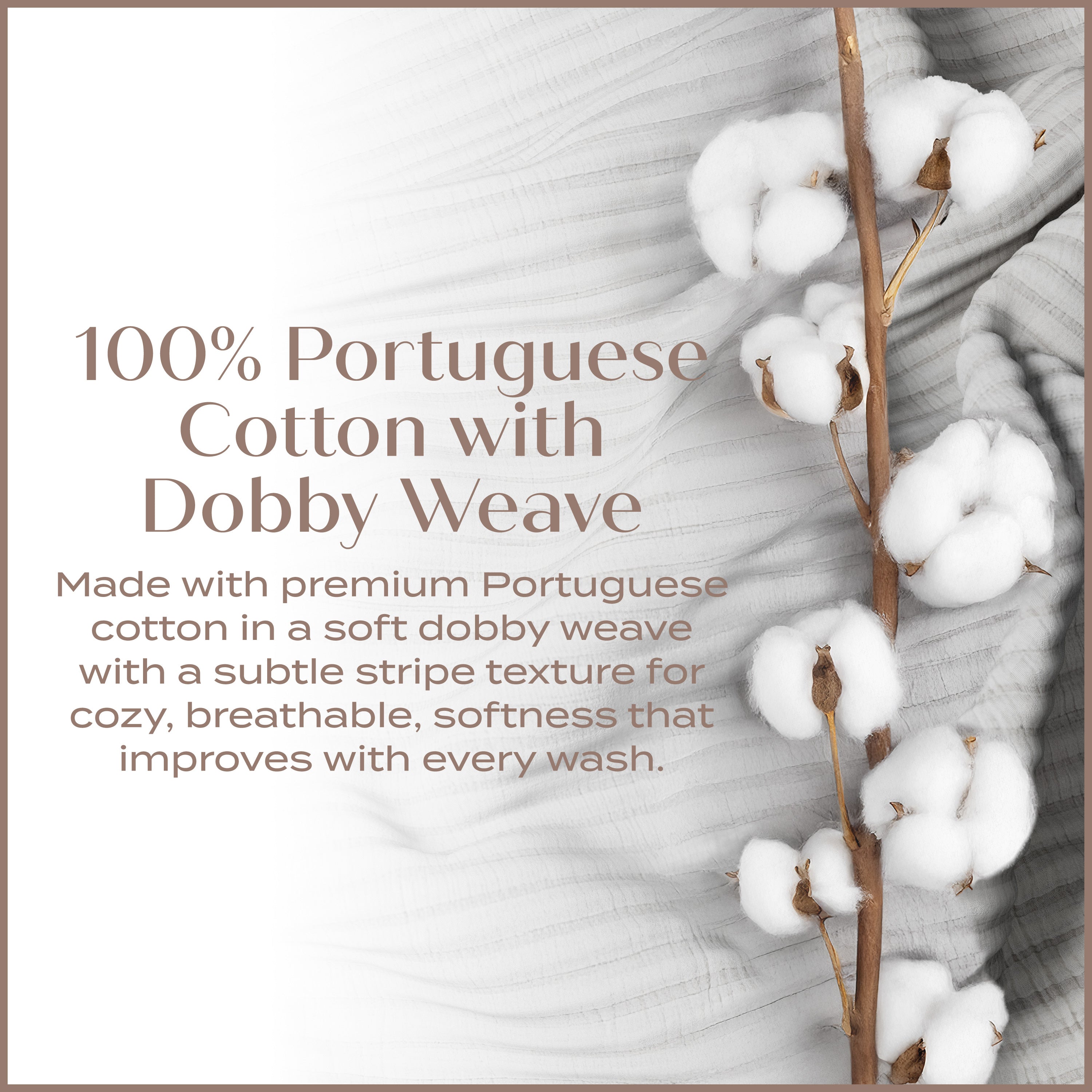 Cotton plant with text about Portuguese cotton and dobby weave