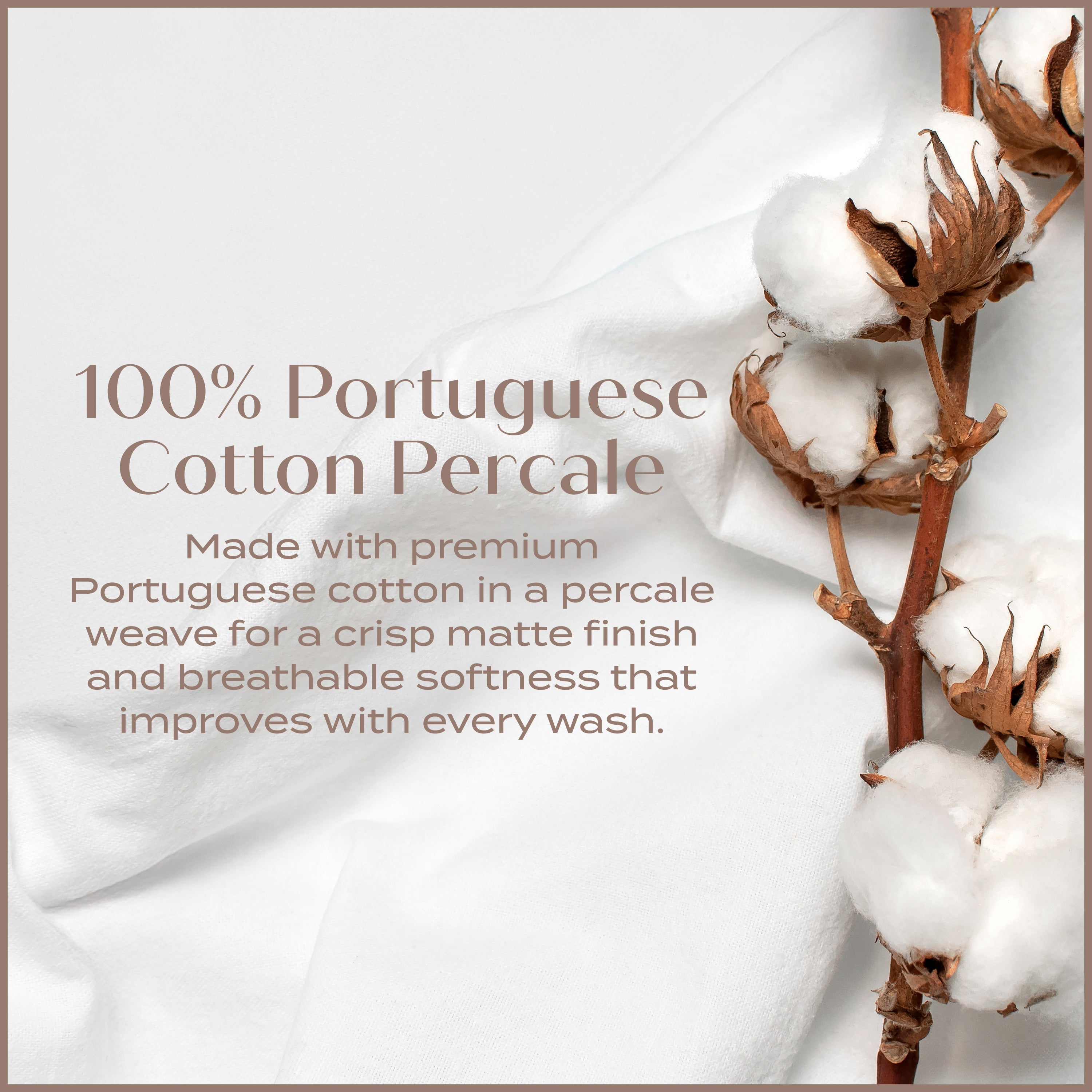 Cotton percale fabric with cotton plant on a white background