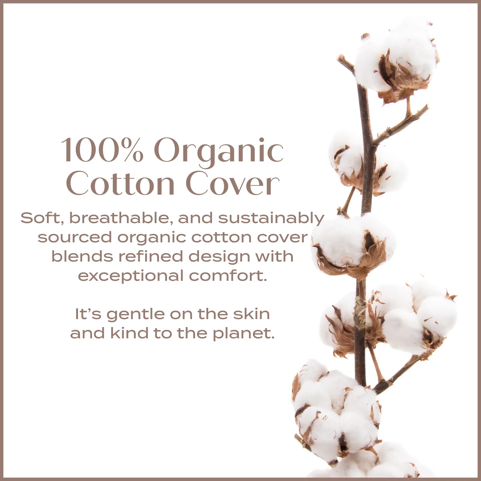 100% Organic Cotton Cover Infographic - Soft breatheable and sustainable sources organic cotton cover blends refined design with exceptional comfort