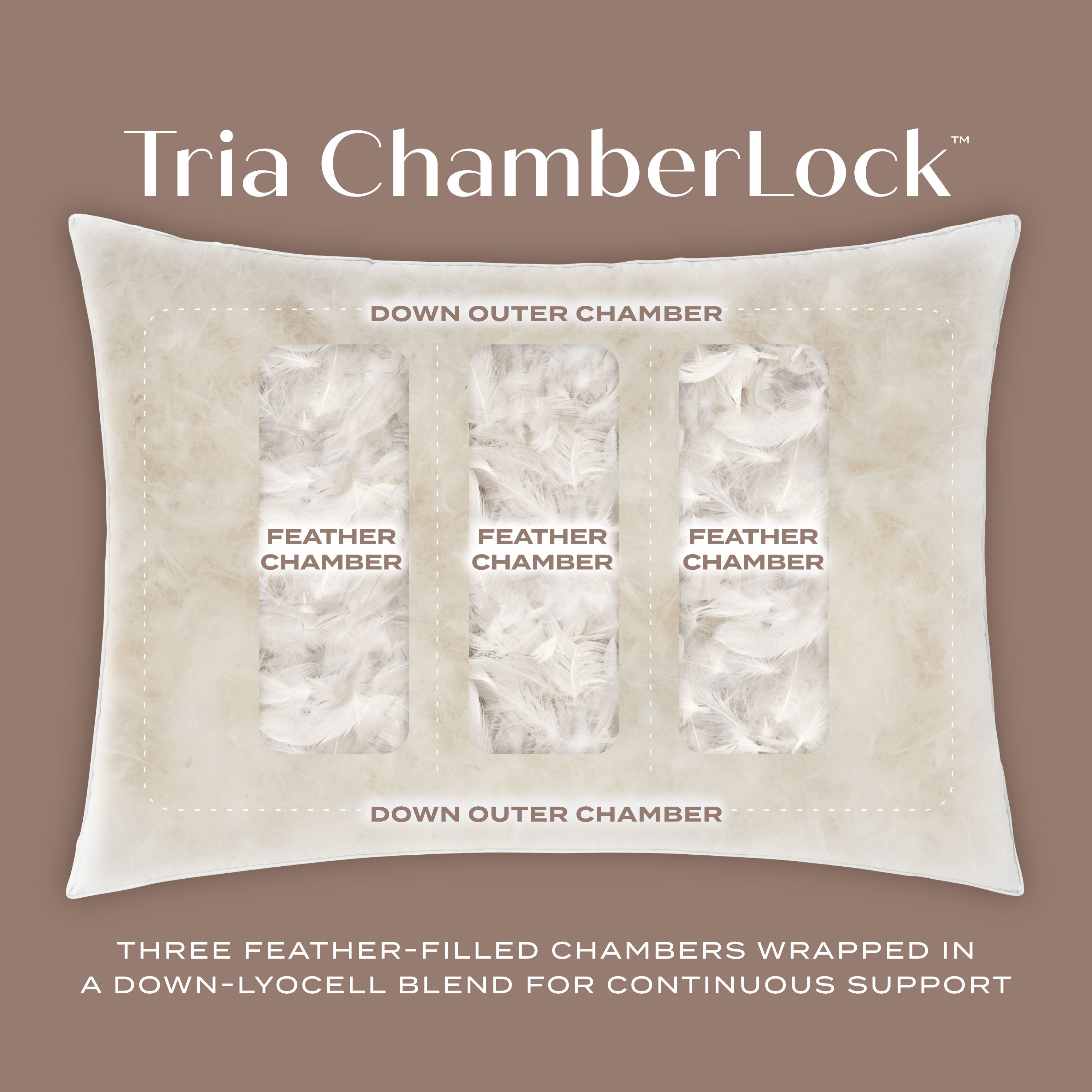 Tria Chamberlock Pillow Illustration